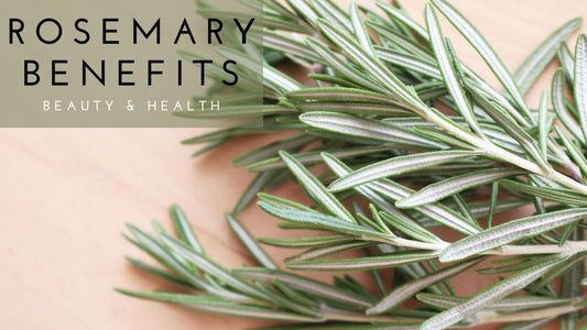 Benefits of Rosemary in health and beauty - Awah Earth