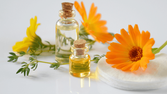 Different plant oils and their skin benefits - Awah Earth
